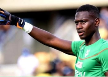 Mory Diaw, le lion auvergnat - wiwsport