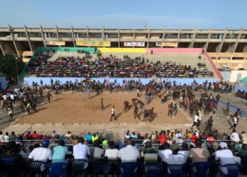 Lutte sans frappe : Vers un week-end très chaud à Dakar et dans les régions - wiwsport