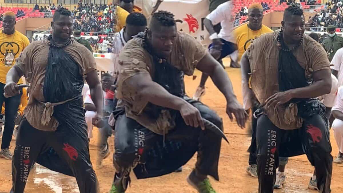 (Vidéo) Victoire de Tapha Tine par abandon suite à une blessure de Bombardier - wiwsport (Vidéo) Victoire de Tapha Tine par abandon suite à une blessure de Bombardier - wiwsport