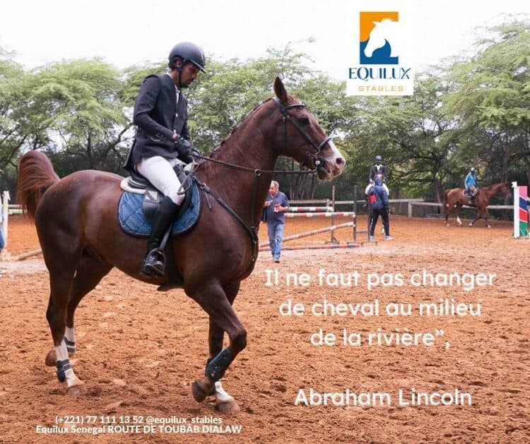 Sports Équestres : 5ème journée : CSO Le retour gagnant d'Ervin Guèye au RCD - wiwsport