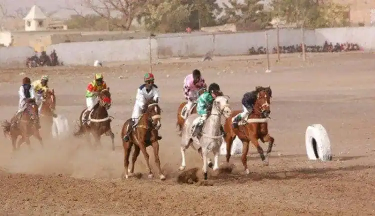Courses hippiques (14e journée) : Moubarak s'illustre devant Khatim à Thiès - wiwsport