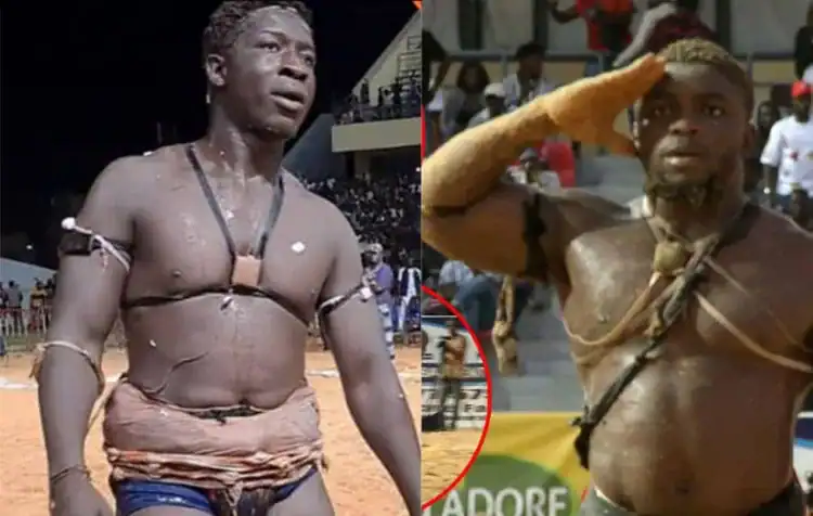 Lamb : Petit Lô et Pokola Baldé, deux "futurs grands" de l'arène - wiwsport