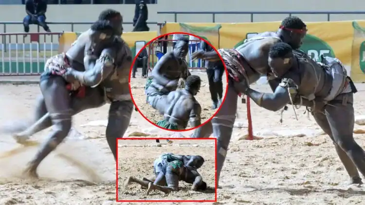 (Vidéo) Lamb : Bagarre générale après la victoire de Mbaye Gouy Gui sur Armée - wiwsport