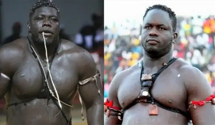 Lamb : "Face to face" Franc v Forza et Serigne Ndiaye 2 v Eumeu Sène Jr ce soir à 21 heures - wiwsport