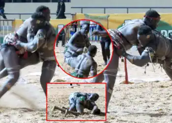 Lamb : Mbaye Gouy Gui bat Armée et l'enfonce dans sa mauvaise dynamique  - wiwsport