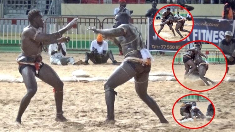 Lamb : Facile vainqueur, Gora Sock foudroie Mama Lamine en moins de 15 secondes - wiwsport Lamb : Facile vainqueur, Gora Sock foudroie Mama Lamine en moins de 15 secondes - wiwsport
