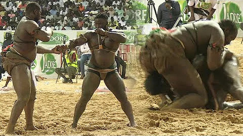 Sanctions financières : Tapha Tine Perd 440.000 FCFA, Eumeu 420.000 FCFA - wiwsport Sanctions financières : Tapha Tine Perd 440.000 FCFA, Eumeu 420.000 FCFA - wiwsport