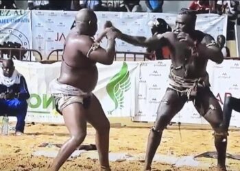 Lamb - Battu par Lac 2 dimanche dernier, Siteu a déposé un recours au CNG - wiwsport