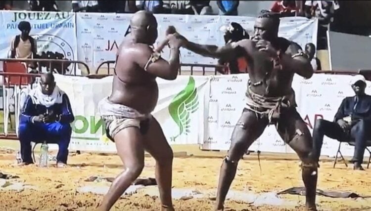 Lamb - Battu par Lac 2 dimanche dernier, Siteu a déposé un recours au CNG - wiwsport