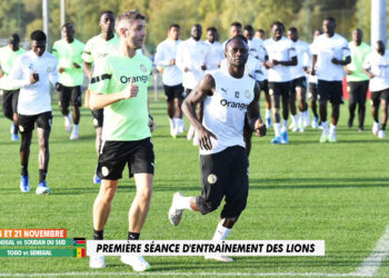 LIVE - Suivez le premier entraînement des Lions en direct sur wiwsport.com - wiwsport