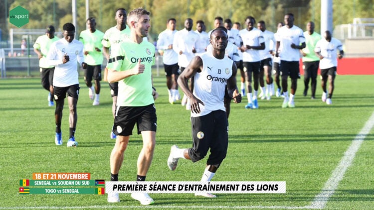 LIVE - Suivez le premier entraînement des Lions en direct sur wiwsport.com - wiwsport LIVE - Suivez le premier entraînement des Lions en direct sur wiwsport.com - wiwsport