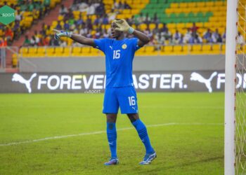 Équipe nationale - Edouard Mendy a retrouvé ses gants ! - wiwsport