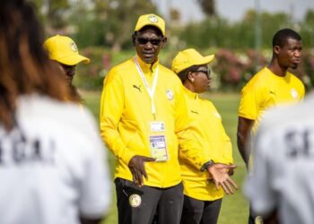 Mame Moussa Cissé (sélectionneur des Lionnes) : « Rien n'est encore fait » - wiwsport