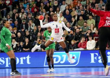 Handball : Les Lionnes s'inclinent en amical contre la France - wiwsport