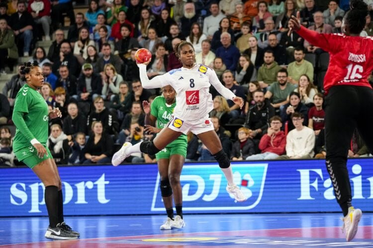 Handball : Les Lionnes s'inclinent en amical contre la France - wiwsport