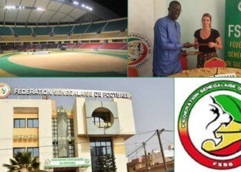 Fédérations, CNP, CNG au Sénégal : Le ministère des sports fait le décompte ! - wiwsport