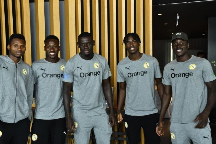 Regroupement des Lions - Les premiers arrivés dans la tanière ! - wiwsport Regroupement des Lions - Les premiers arrivés dans la tanière ! - wiwsport