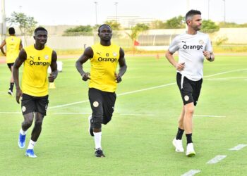 Programme des Lions - Séance d'entrainement ouverte ce soir ! - wiwsport