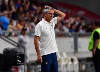 Mondial U17 - Jean-Luc Vannuchi (sélectionneur de la France) : « Il faut s'attendre à du costaud contre le Sénégal » - wiwsport
