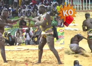 Lamb : (vidéo) Alioune Sèye 2 met K.O Modou Anta et poursuit sa série de victoires - wiwsport