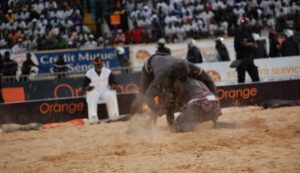 Lamb : 26 ans de carrière sans couronne, l'interminable attente de Gris Bordeaux ! - wiwsport