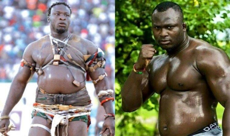 Lamb - LIVE : Suivez en direct le dernier face à face du choc royal Modou Lô v Ama Baldé - wiwsport Lamb - LIVE : Suivez en direct le dernier face à face du choc royal Modou Lô v Ama Baldé - wiwsport