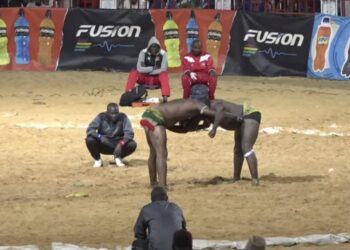 (Vidéo) Regardez la chute de Pathe Balde battu par Saafi ! - wiwsport