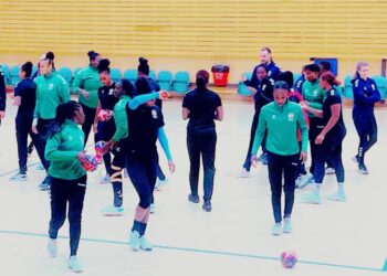 Handball - Coupe du Monde : Les Lionnes feront leur entrée ce soir - wiwsport