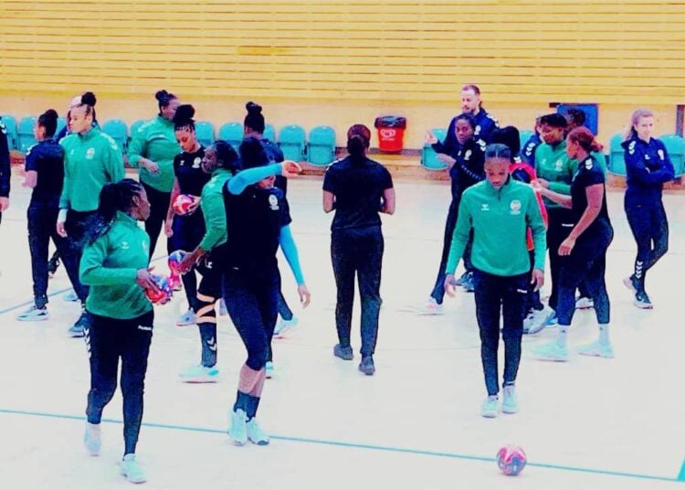 Handball - Coupe du Monde : Les Lionnes feront leur entrée ce soir - wiwsport Handball - Coupe du Monde : Les Lionnes feront leur entrée ce soir - wiwsport