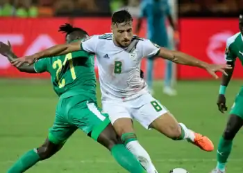 Algérie - Belaili : "Nous voulons remporter la coupe d'Afrique des Nations" - wiwsport