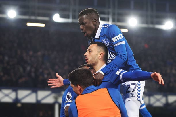 Premier League : Everton d'Idrissa Gueye corrige Newcastle et sort de la zone rouge - wiwsport Premier League : Everton d'Idrissa Gueye corrige Newcastle et sort de la zone rouge - wiwsport