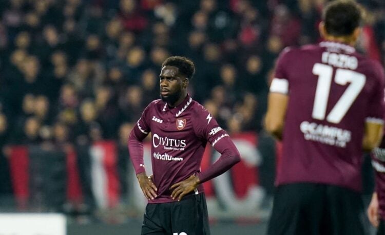 Salernitana : Newcastle a supervisé Boulaye Dia contre l'AC Milan - wiwsport