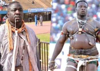 Lamb : Le combat Gris v Ama désormais entre les mains de Baye Ndiaye qui fixe une nouvelle date - wiwsport