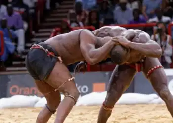 Fédération Sénégalaise de Lutte : 206 structures validées sur 227 candidatures, 21 recalées en attente de régularisation - wiwsport