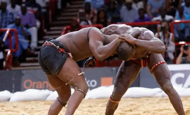 Fédération Sénégalaise de Lutte : 206 structures validées sur 227 candidatures, 21 recalées en attente de régularisation - wiwsport Fédération Sénégalaise de Lutte : 206 structures validées sur 227 candidatures, 21 recalées en attente de régularisation - wiwsport