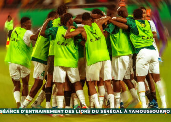 Equipe Nationale : Suivez en direct al séance d'entraînement des Lions - wiwsport