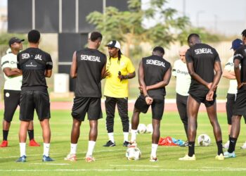 Préparation CAN 2023 - La tanière se remplit, huis clos ce soir ! - wiwsport