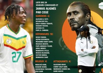 Équipe nationale : Niakhaté Ndiaye a quitté la longue liste des joueurs convoqués et jamais alignés par Cissé