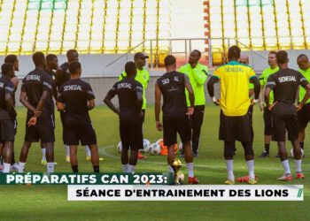 � LIVE - Suivez en direct la séance d’entraînement des Lions en route pour la CAN - wiwsport