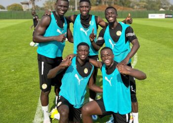 CAN 2023 - Les Lions au galop à l’heure de leur premier match ! - wiwsport