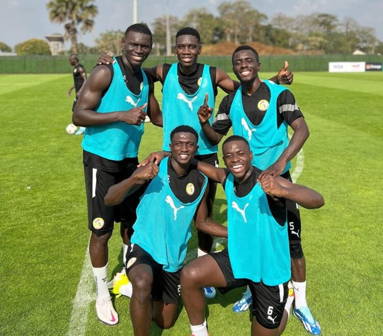 CAN 2023 - Les Lions au galop à l’heure de leur premier match ! - wiwsport CAN 2023 - Les Lions au galop à l’heure de leur premier match ! - wiwsport