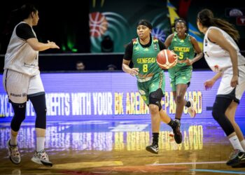 Equipe Nationale : La liste des 12 Lionnes de basket pour le TQO de Belgique