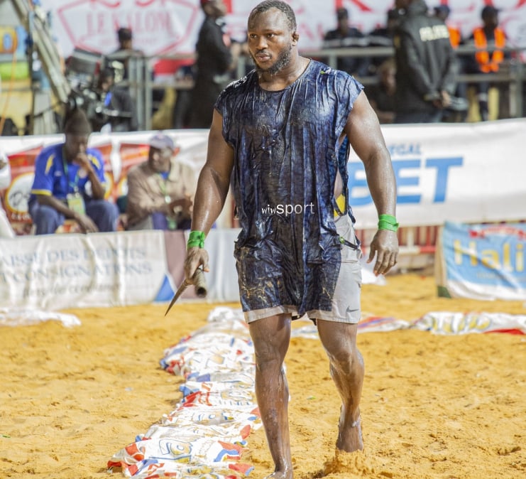 Khadim Gadiaga persiste : "Désormais Modou Lô ne luttera pas pour moins de 200 millions..." - wiwsport Khadim Gadiaga persiste : "Désormais Modou Lô ne luttera pas pour moins de 200 millions..." - wiwsport
