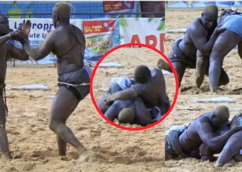 Lamb : (vidéo) Victoire polémique de Nandy Fall sur le professeur Tidiane Faye - wiwsport