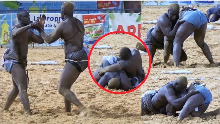 Lamb : (vidéo) Victoire polémique de Nandy Fall sur le professeur Tidiane Faye - wiwsport