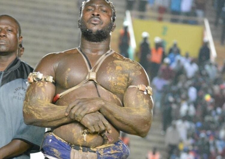 Lamb : Le Roi Modou Lô bat Boy Niang et confirme son statut de bête noire des pikinois (vidéo) - wiwsport