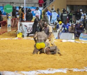 Lamb : Papiss Kharagne Lô, le sorcier du Roi se confie et dévoile les secrets jamais révélés de Modou Lô - wiwsport