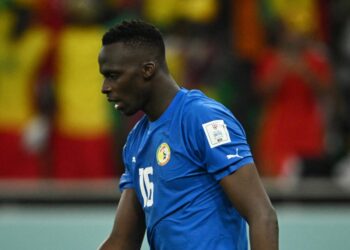 Édouard Mendy : "On ne peut qu'être déçu quand on est champion en titre et qu'on s'arrête en huitièmes de finale" - wiwsport
