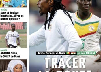 Journal wiwsport