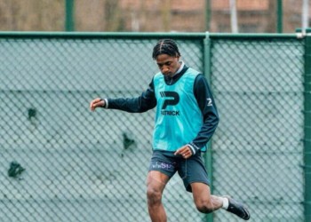 Zulte Waregem : Pape Demba Diop de retour à l'entraînement après une longue absence suite à une blessure - wiwsport